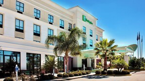 Un hôtel moderne, reconnaissable à son logo vert bien visible, à ses grandes fenêtres et à son espace extérieur bien entretenu, agrémenté de palmiers et doté d’une entrée couverte.