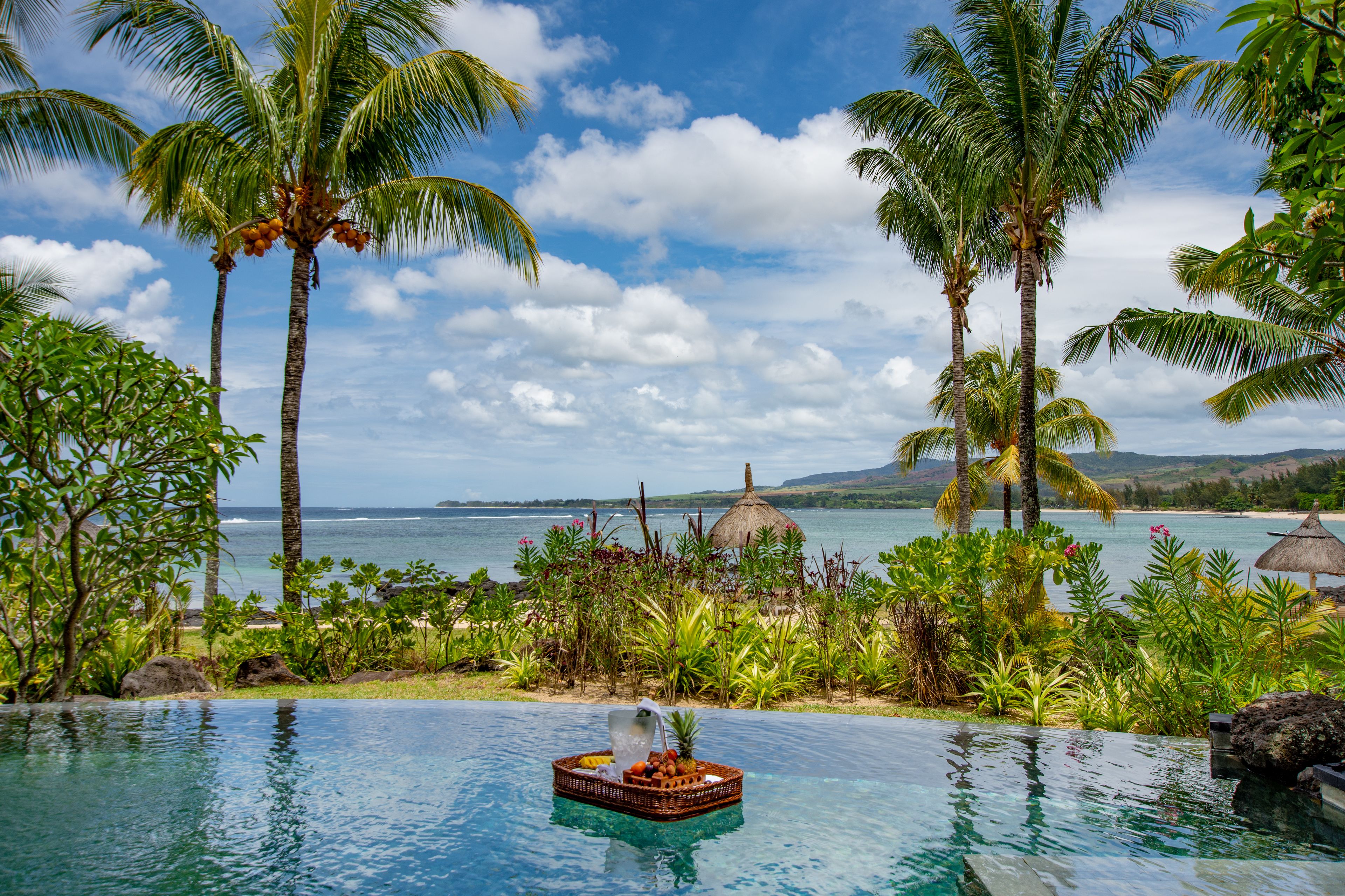A tropical resort with a pool, palm trees, and a view of the ocean.