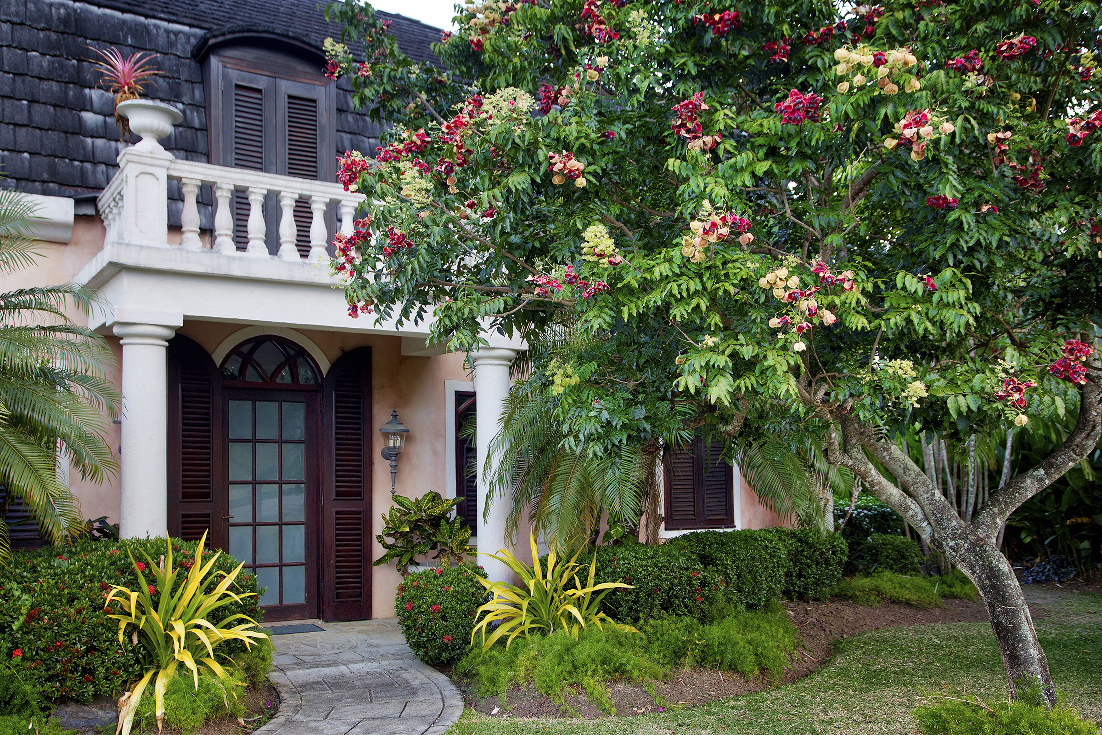 A house with a front porch, a large tree with flowers, and well-maintained landscaping.