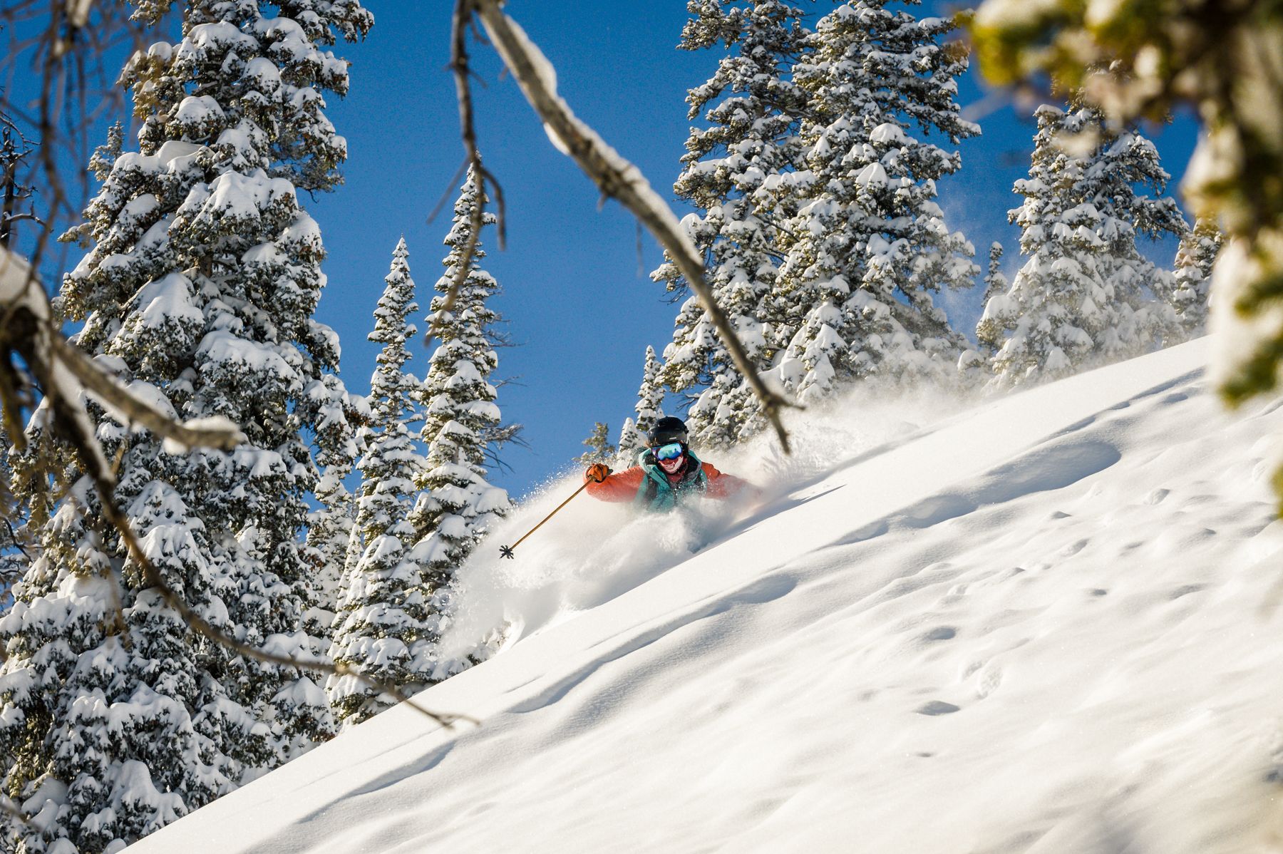 A skier descending a snow-covered slope with trees on either side.