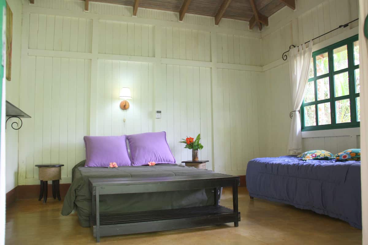 Premium bedding, Select Comfort beds, in-room safe