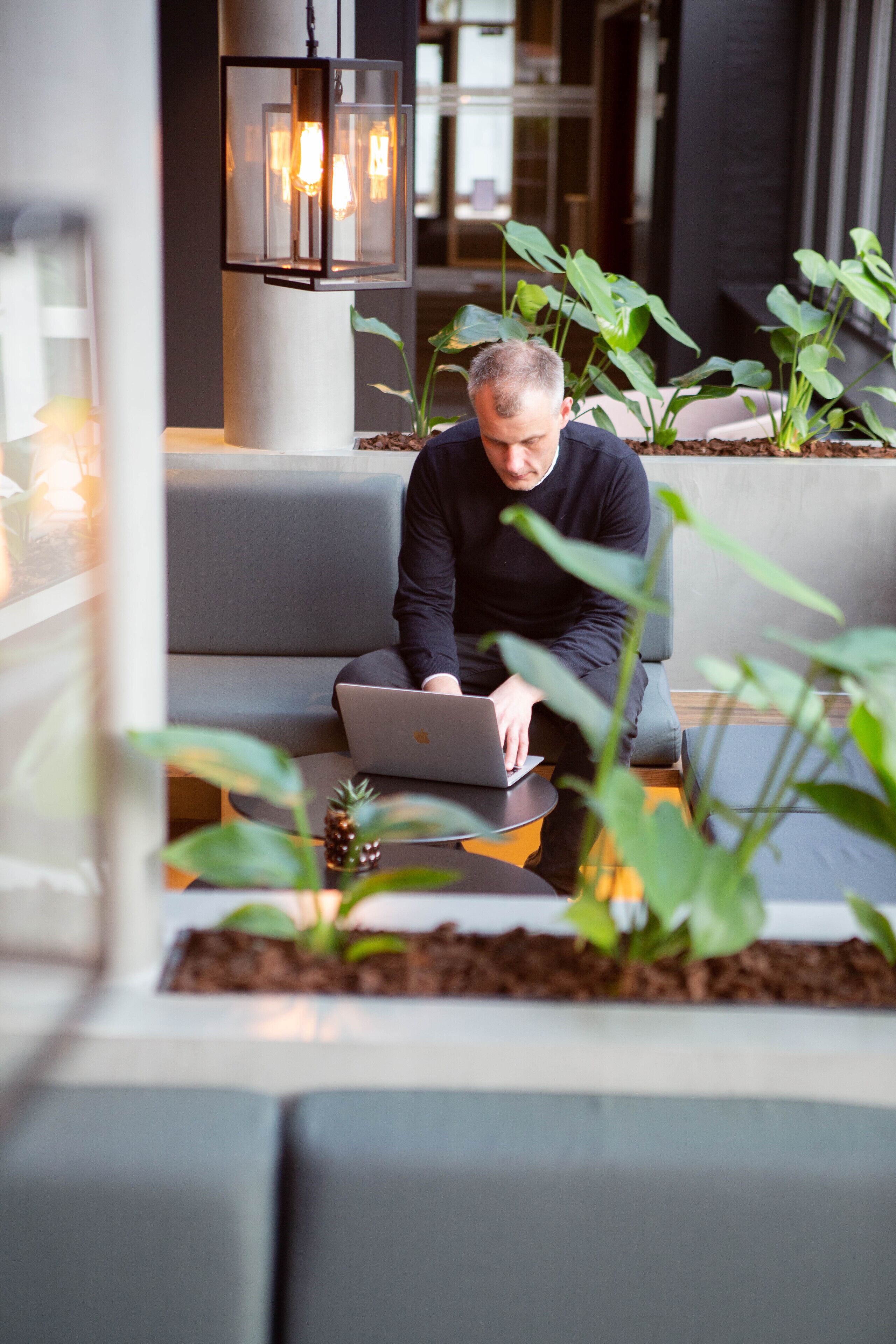 A person working on a laptop in a modern, well-lit indoor space with a grey sofa and potted plants.