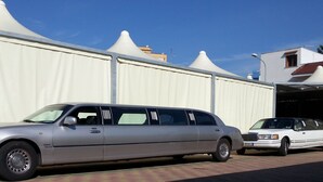 Een zilveren limousine geparkeerd voor een grote, witte tentachtige constructie.