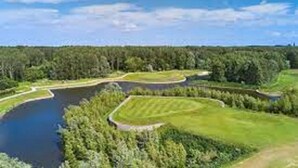 Un campo de golf con un estanque, rodeado de un bosque denso.
