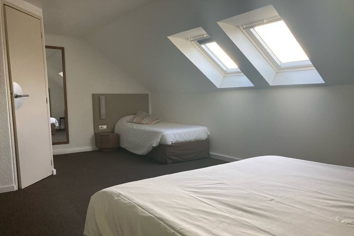 Une chambre à coucher avec un grand lit, une table de chevet, une commode, un miroir et deux fenêtres de toit.