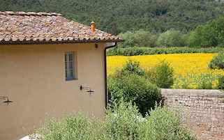 Un edificio con techo de tejas y una ventana, rodeado de vegetación y un campo de flores amarillas.
