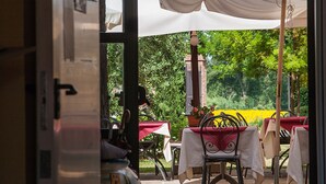 An outdoor dining area with tables and chairs under umbrellas, a potted plant, and a red mat leading to the entrance. - Country Hotel Borgo Sant'Ippolito (Lastra a Signa)