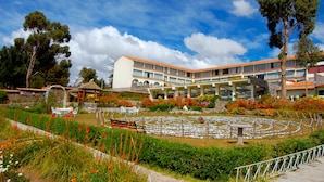 Un hotel con patio central, mobiliario exterior y un gran árbol.