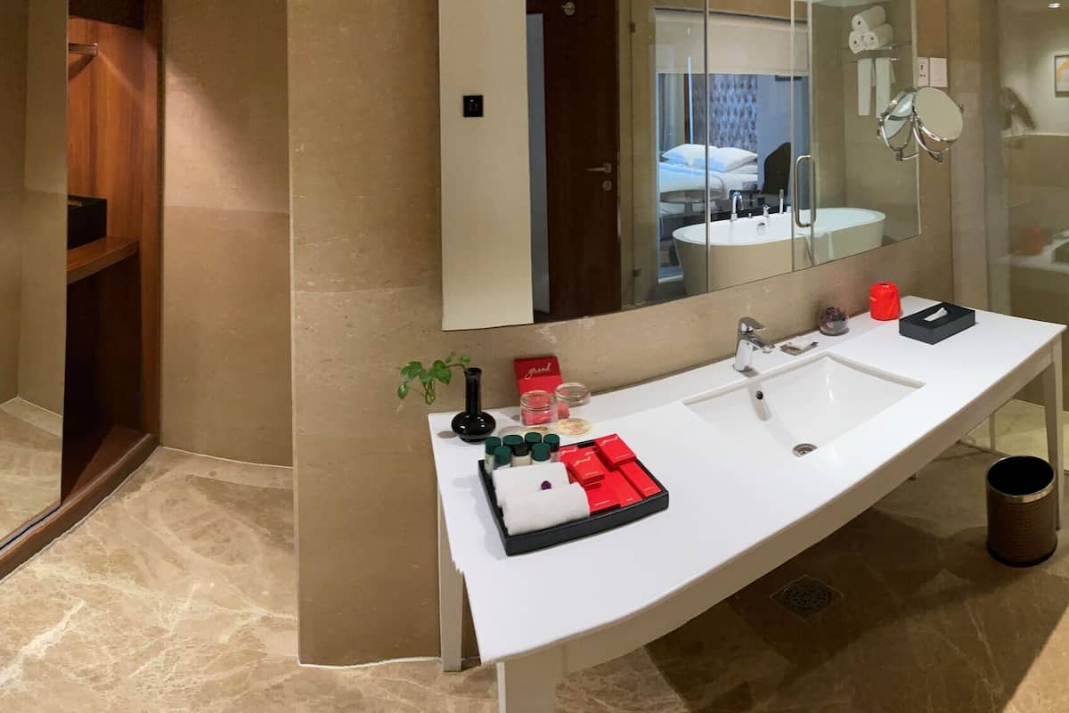 deluxe suite  | bathroom | shower, free toiletries, hair dryer, slippers