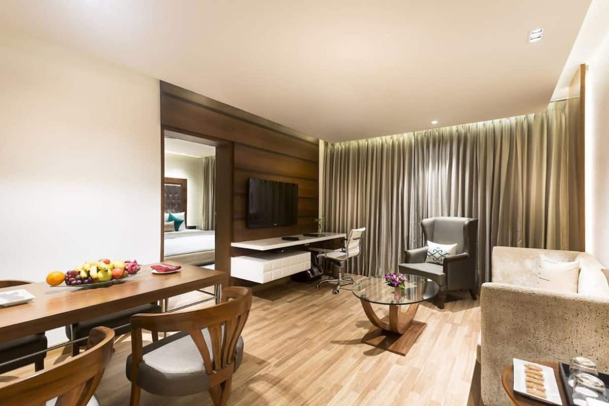 deluxe suite  | living area | 32-inch lcd tv with satellite channels, tv, fireplace