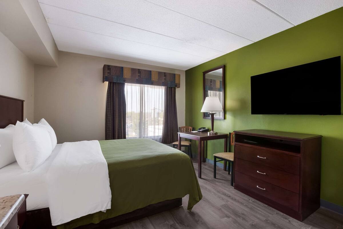 A hotel room with a bed, desk, chair, dresser, and a TV on the wall.