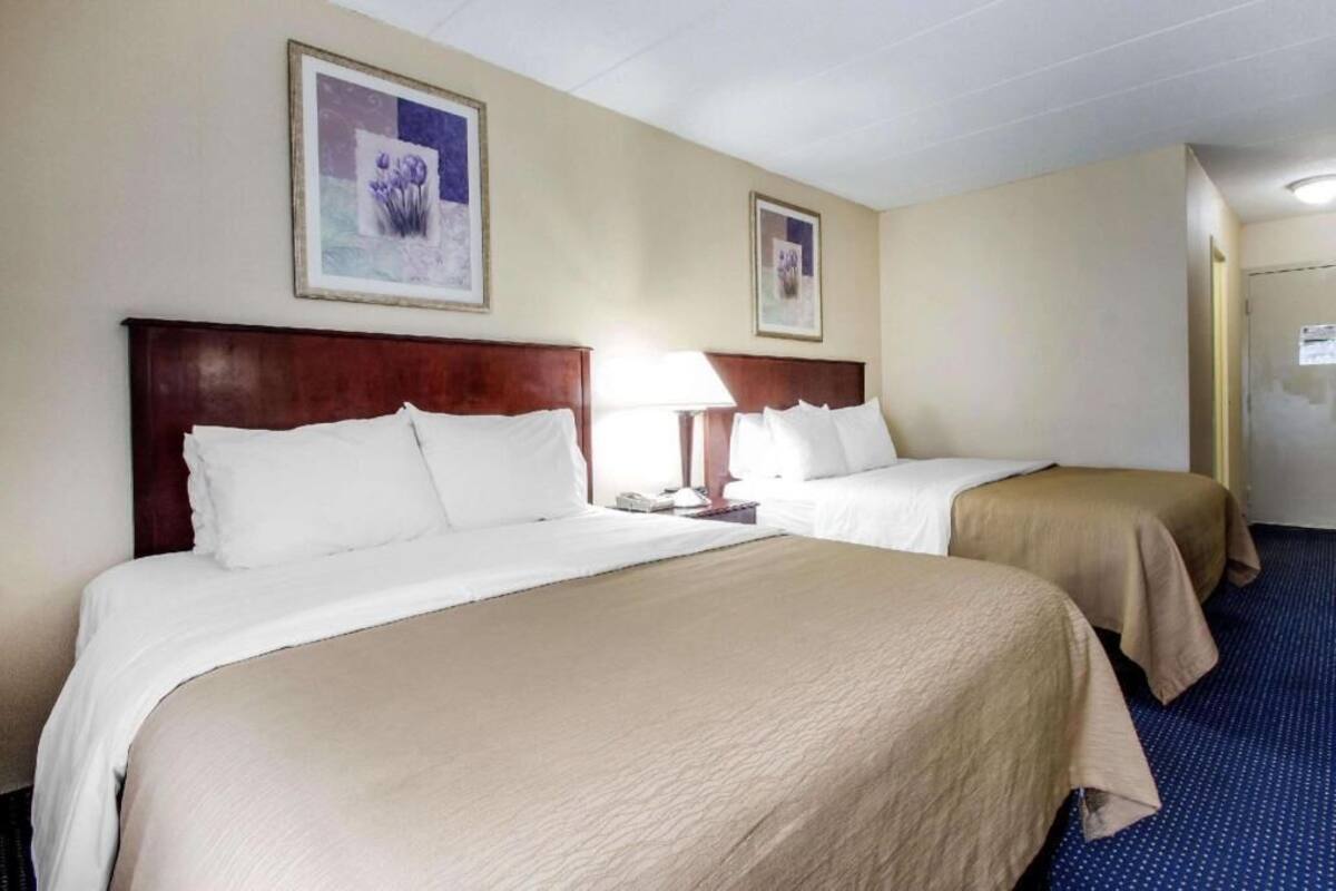 A hotel room with two beds, a nightstand, a lamp, and framed pictures on the wall.