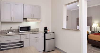 Econo Lodge Inn & Suites Port Arthur near Sabine Pass