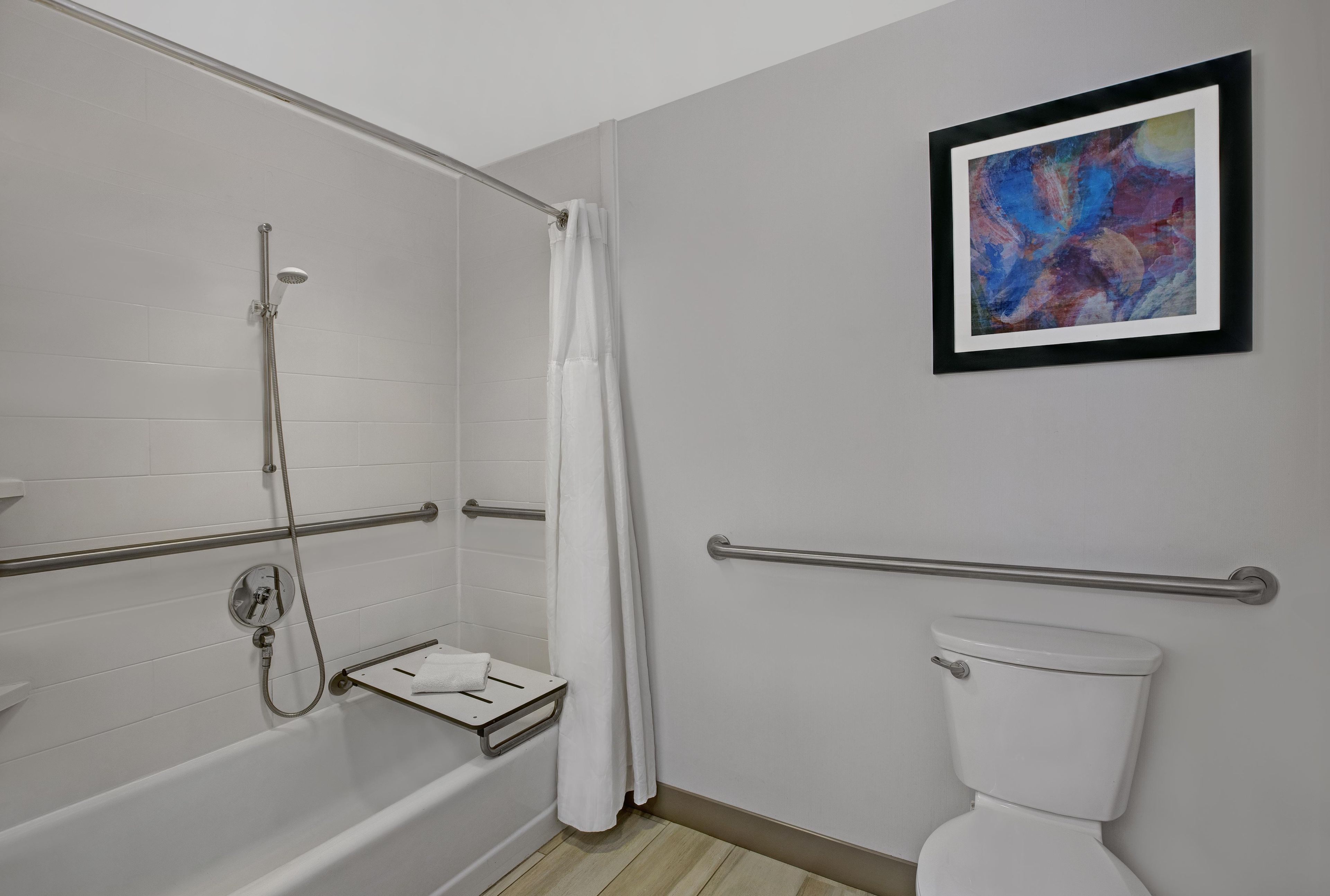Un baño con ducha, inodoro y un cuadro abstracto enmarcado en la pared.