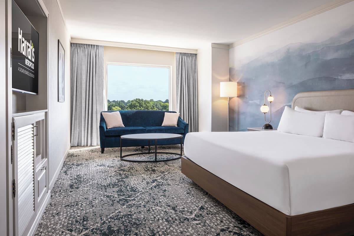 Hypo-allergenic bedding available, in-room safe, desk, laptop workspace