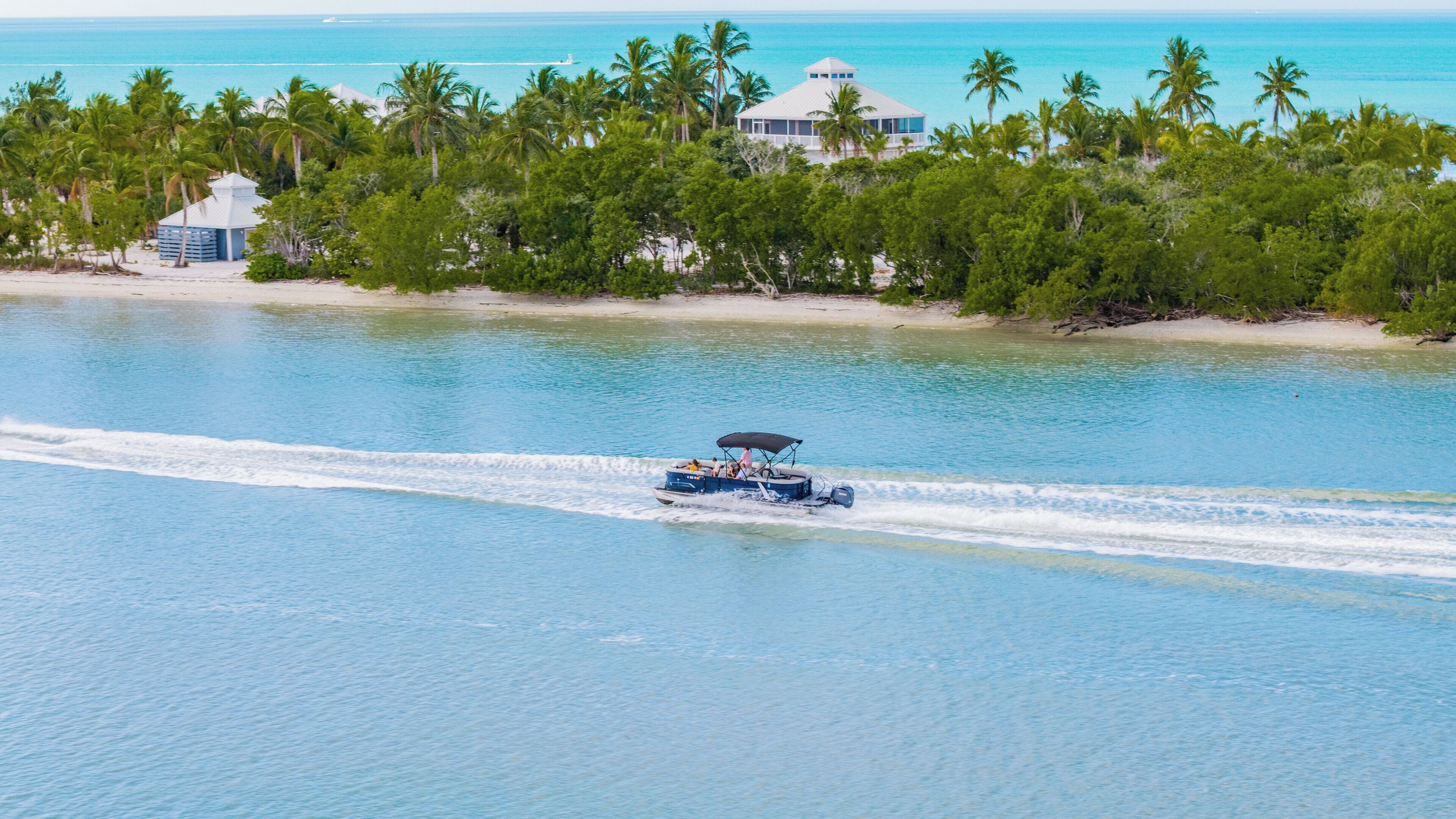 A boat speeding across a turquoise sea with a beach and palm trees in the background.