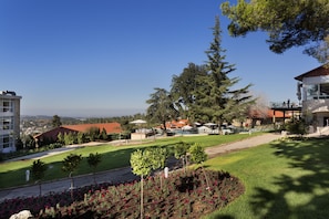 Jardin