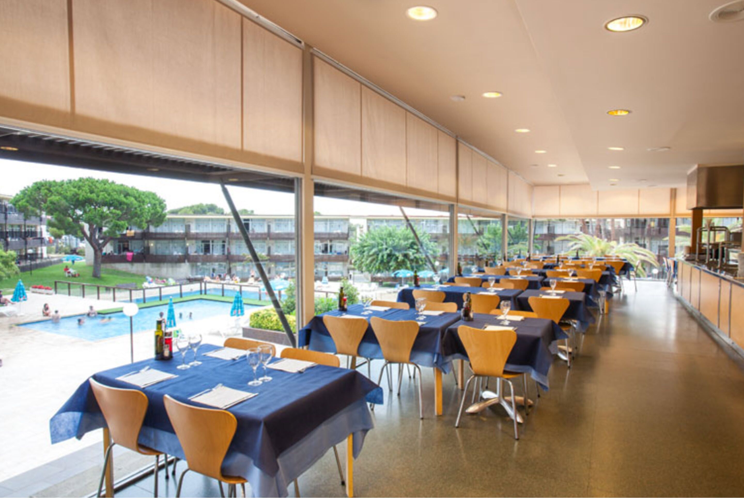 Un amplio comedor interior con mesas y sillas, y grandes ventanales que ofrecen vistas a una piscina y follaje exterior.