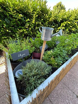 Exterior - Campanile NATURE - Cahors (Cahors)