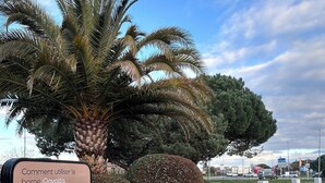 A signboard with instructions for using a QR code for electric vehicle charging, a palm tree, and bollards labeled 'Govoltis' in a parking area.