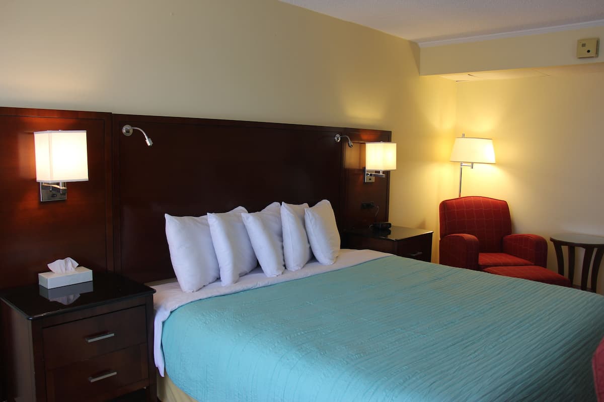 standard room, 1 king bed | iron/ironing board, free wifi, bed sheets, alarm clocks