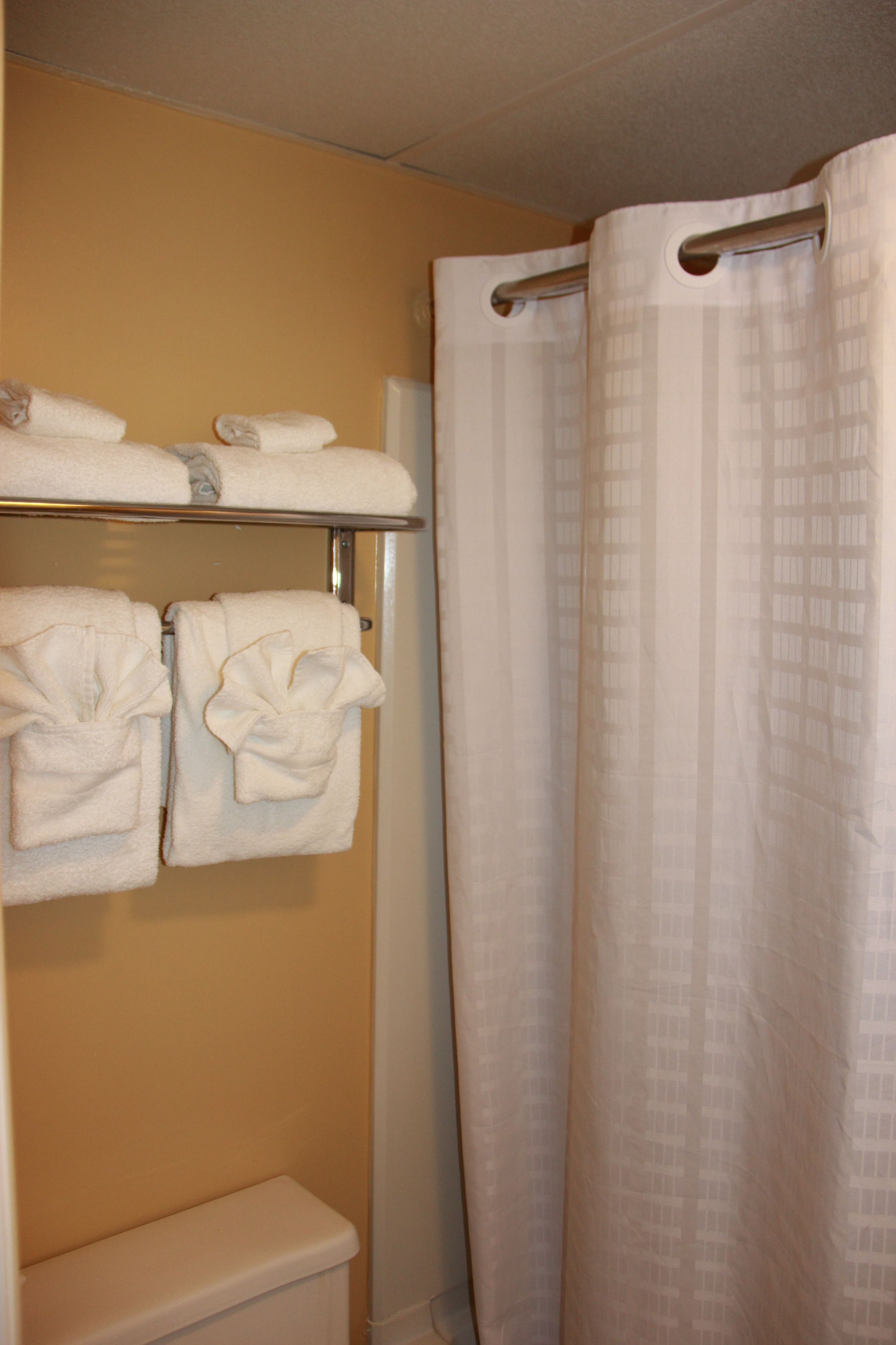 deluxe room | bathroom | combined shower/bathtub, towels