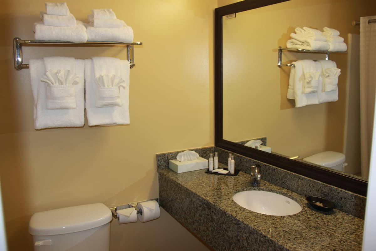 combined shower/bathtub, towels