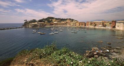 Albergo Stella Del Mare