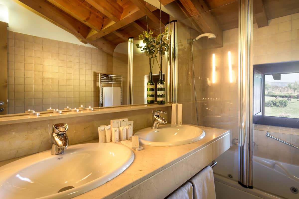 combined shower/bathtub, jetted bath, free toiletries, hair dryer