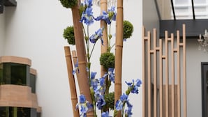 A modern interior with a central decorative arrangement featuring blue flowers and green foliage, surrounded by contemporary furniture and a large, glossy black bowl.