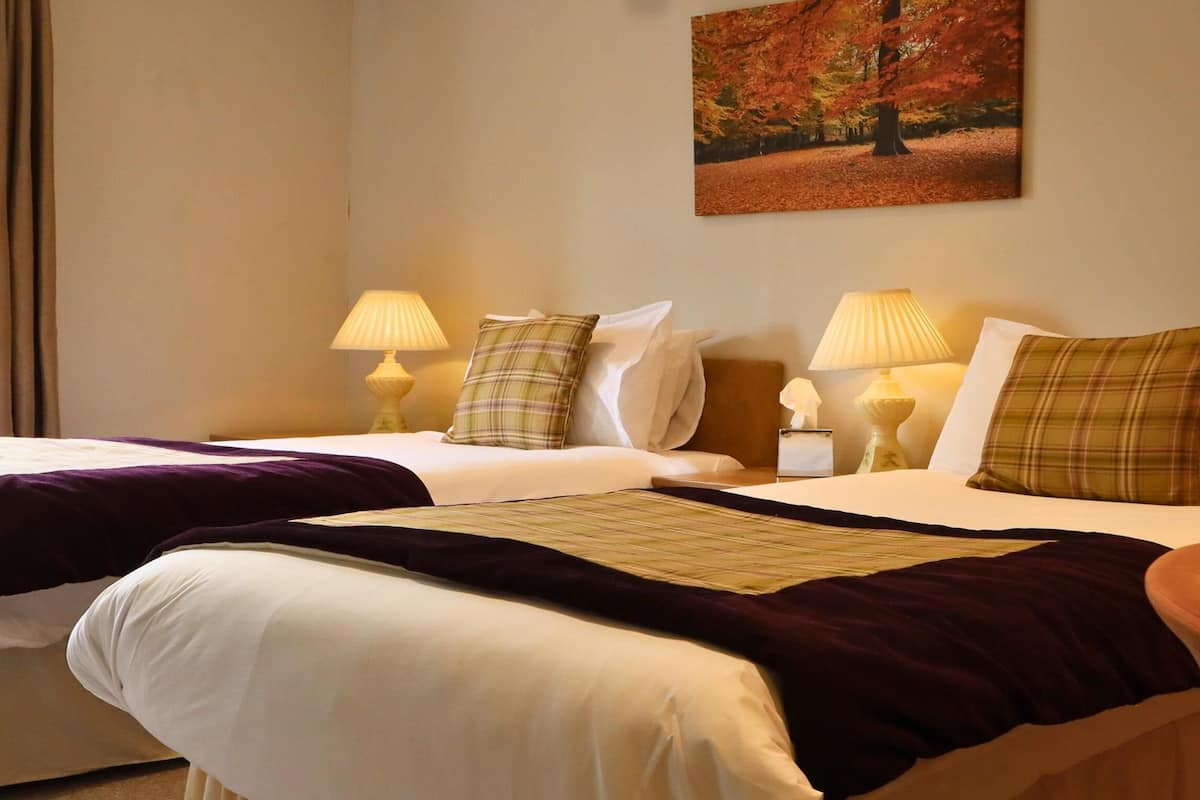 Una habitación de hotel con dos camas, cada una con una almohada, una lámpara de noche y una manta.