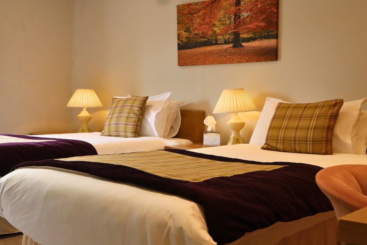 standard room, 2 single beds, non smoking | 1 bedroom, individually decorated, individually furnished, desk