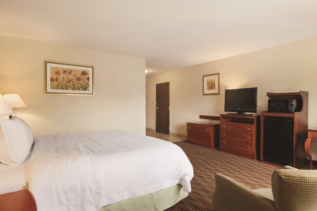 Studio, 1 King Bed, Accessible, Non Smoking | Down comforters, desk, blackout drapes, soundproofing