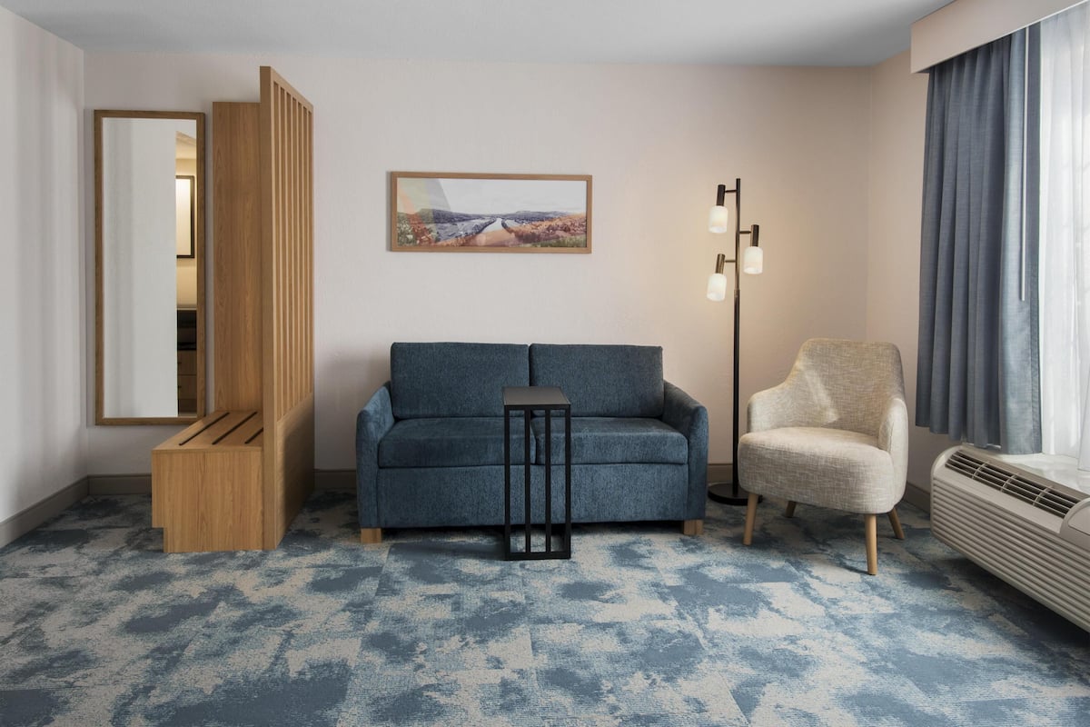 Suite, 1 King Bed, Non Smoking | Living area