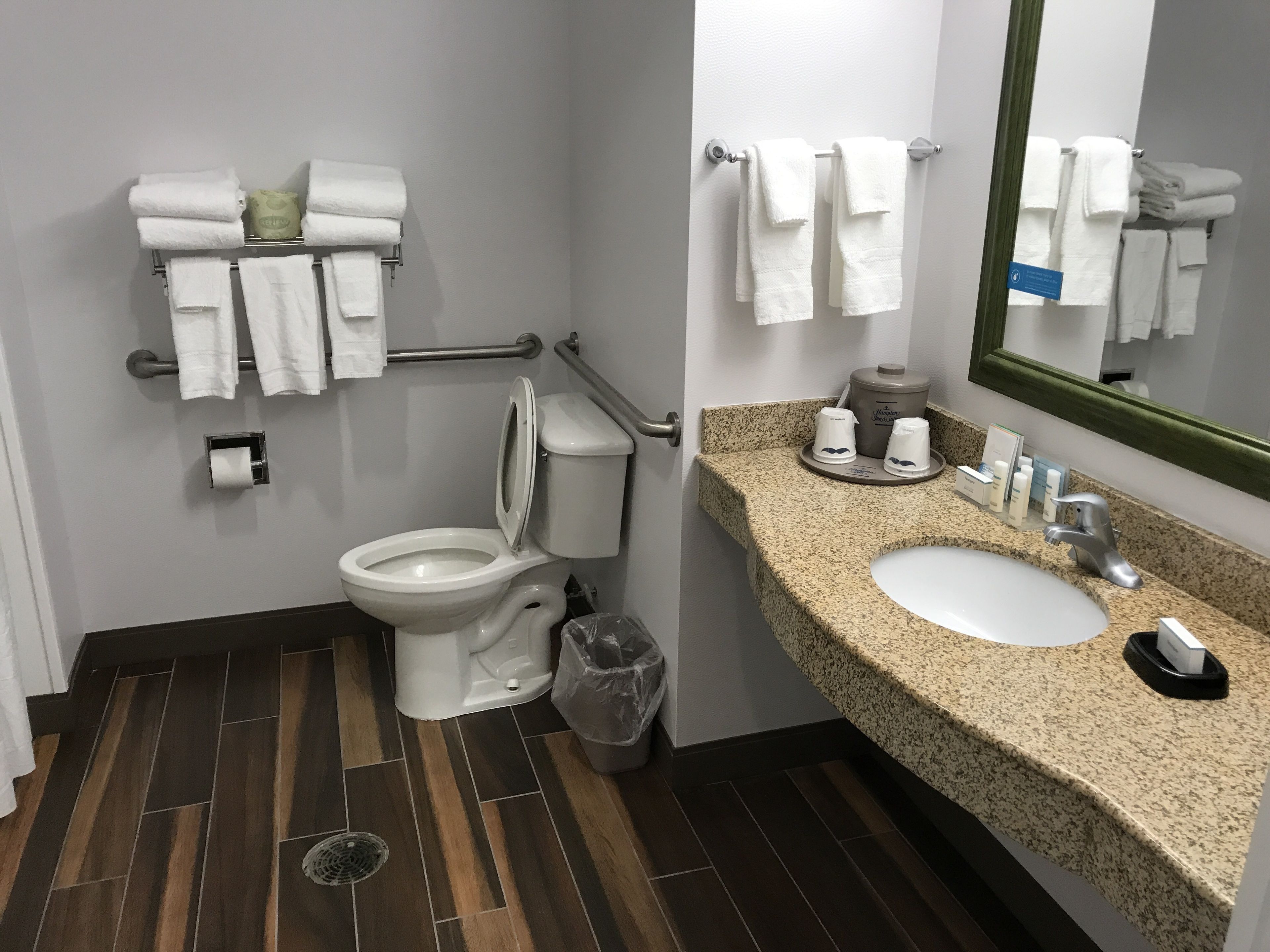 room, 1 king bed, accessible, non smoking (roll-in shower) | bathroom | free toiletries, hair dryer, towels