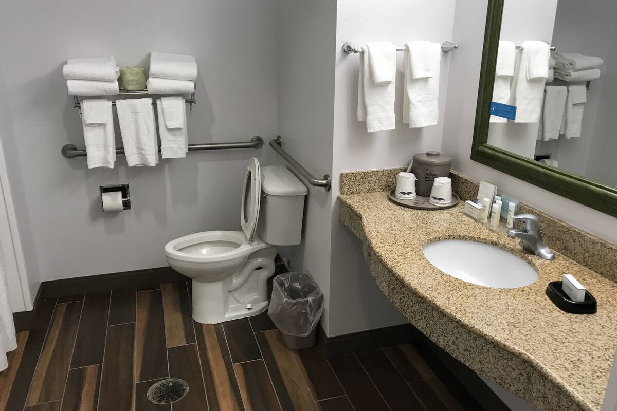 room, 1 king bed, accessible, non smoking (roll-in shower) | bathroom | free toiletries, hair dryer, towels