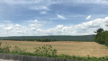 Paisaje rural con una valla de madera, un campo y una colina distante.