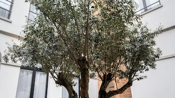 Área para churrasco/piquenique