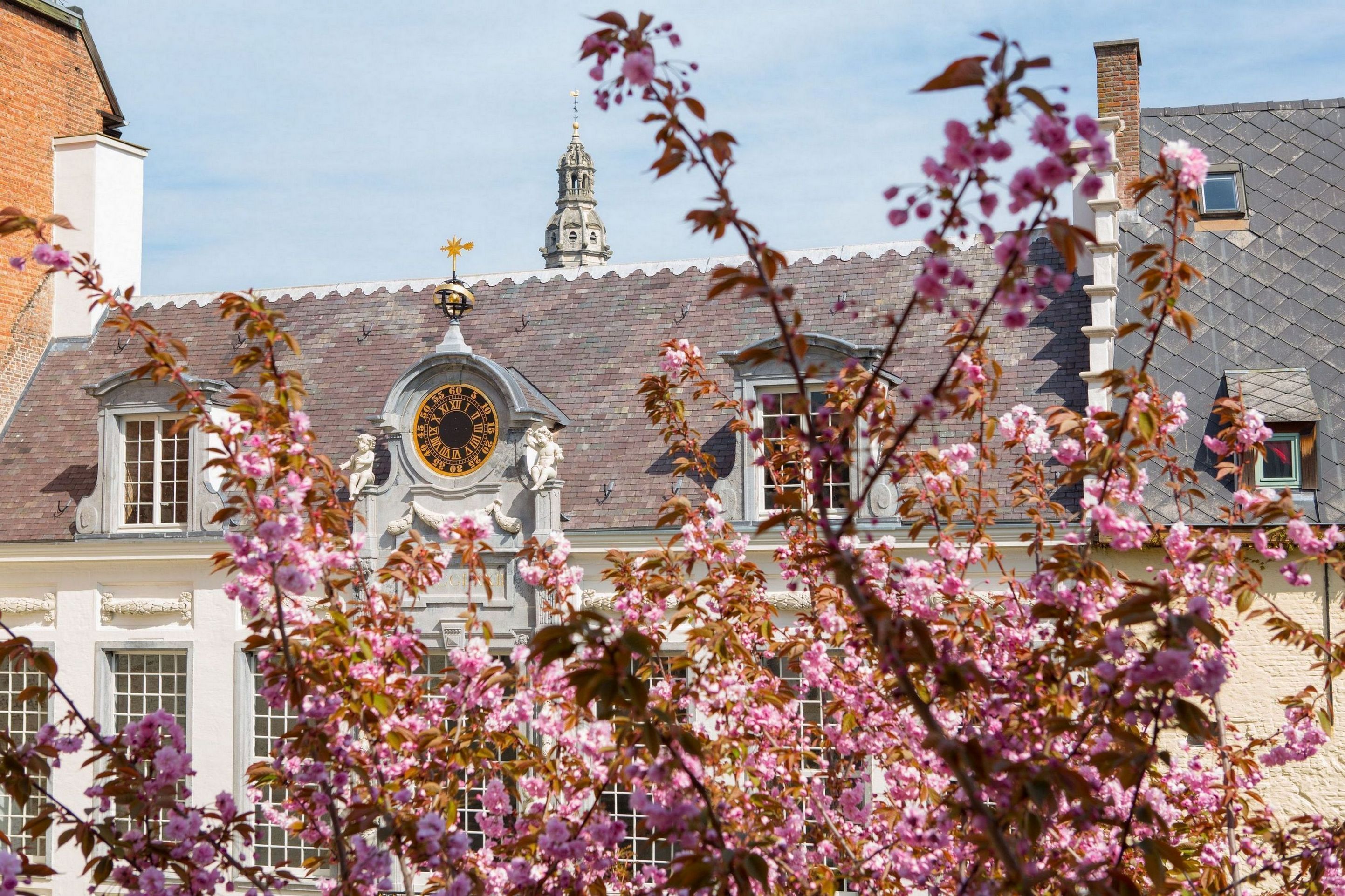 penthouse suite | hypo-allergenic bedding, minibar, in-room safe, individually decorated