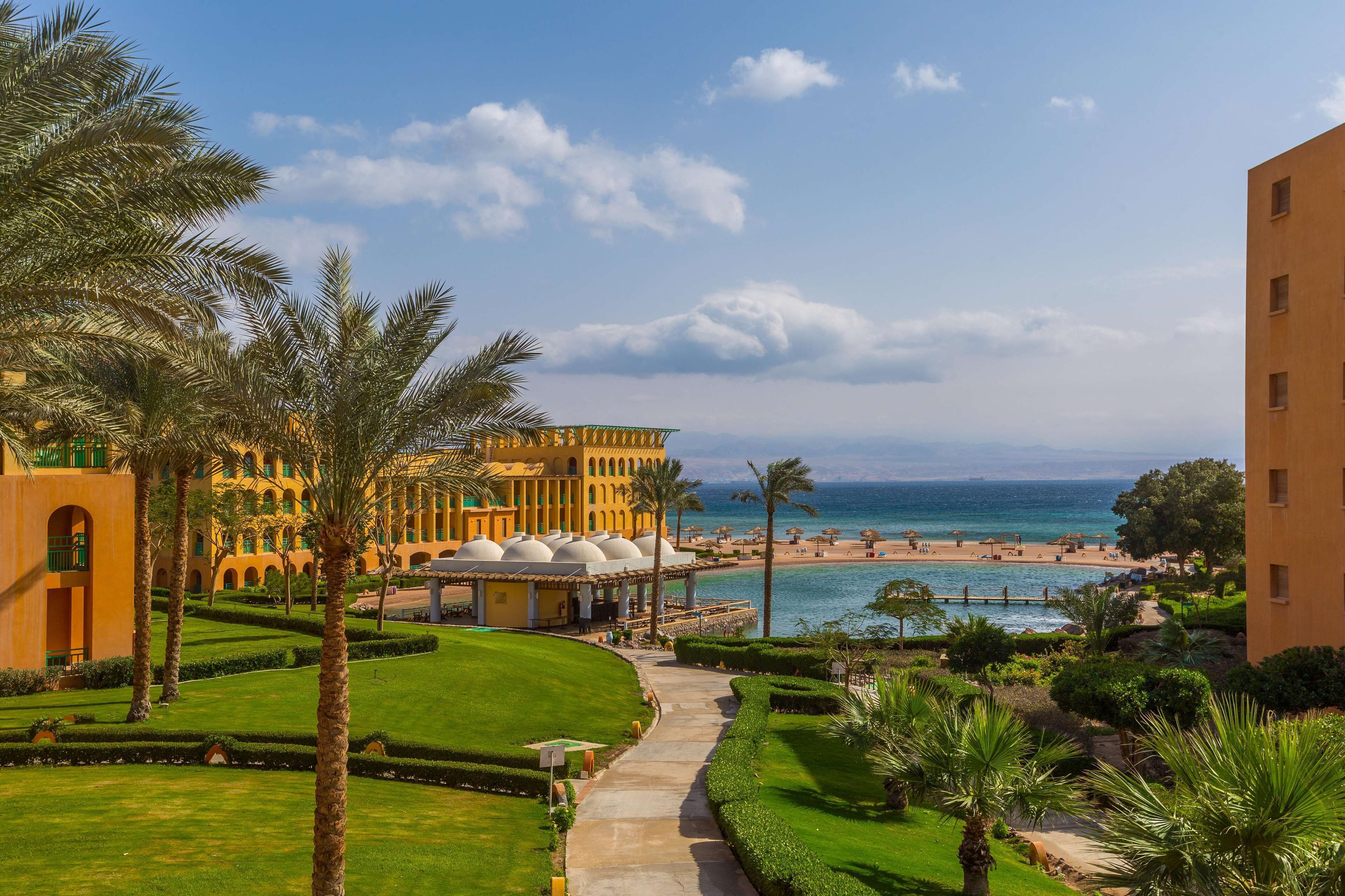 حديقة