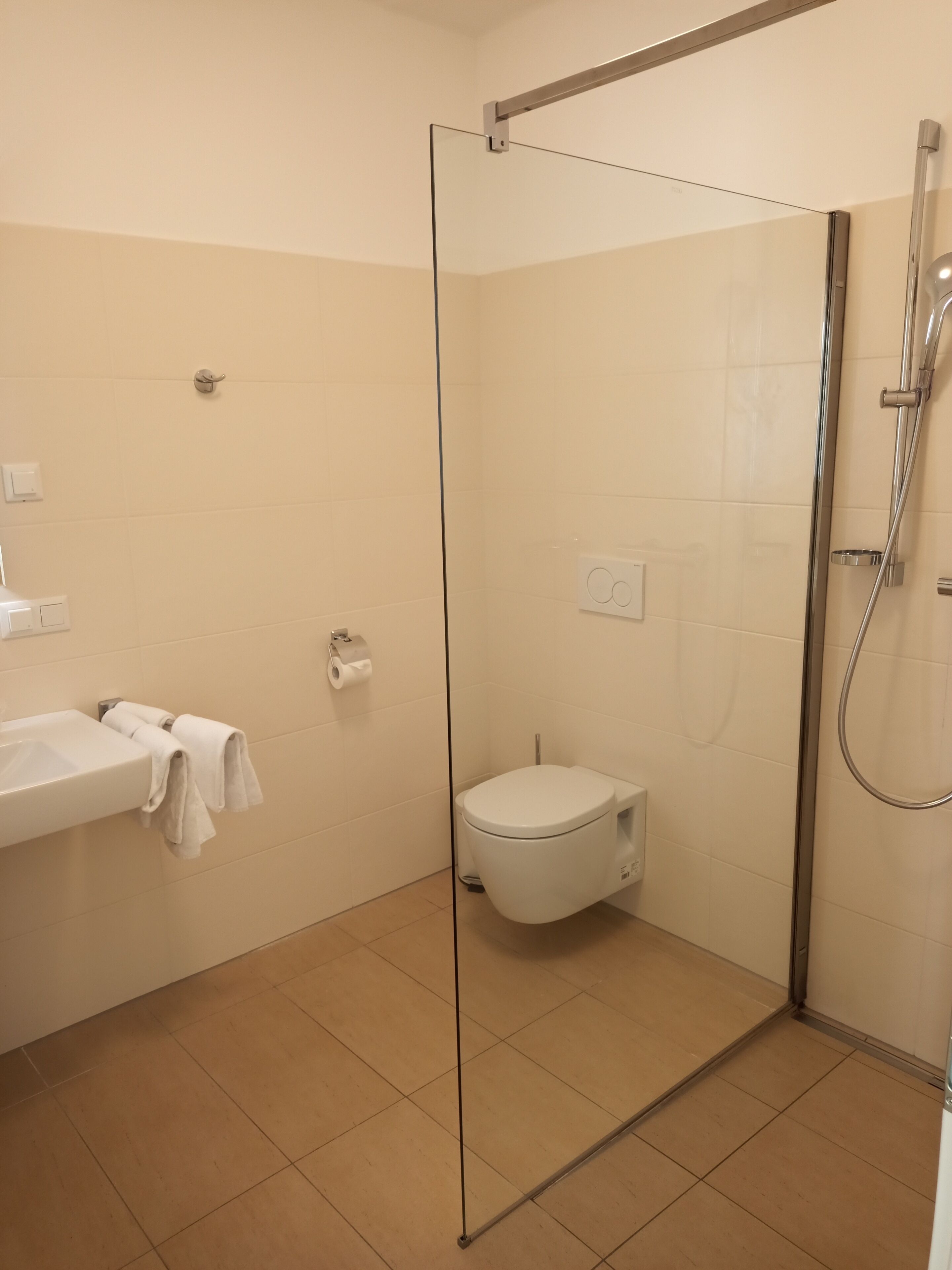 A modern bathroom with a glass shower enclosure, a toilet, and a sink with a towel rack.