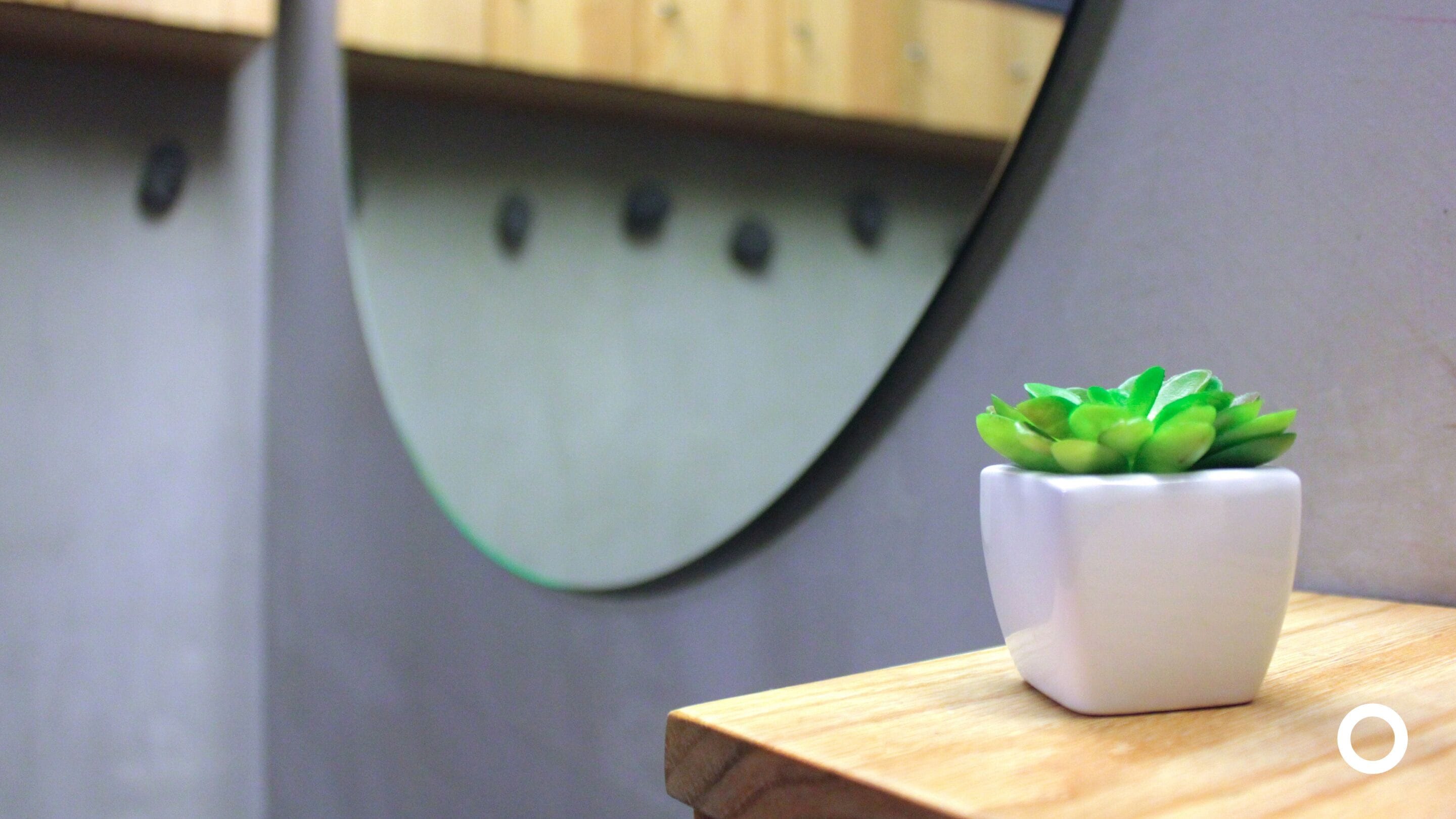 A small potted plant on a wooden table with a curved mirror in the background.