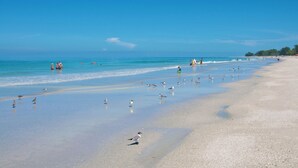 A wide beach with clear blue water, people walking, and birds on the sand.