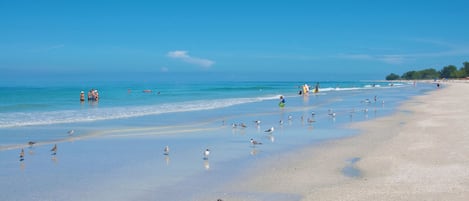 在海灘附近、白沙、沙灘巾
