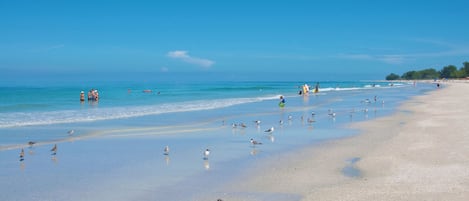 Tæt på stranden, hvidt sand, badehåndklæder