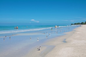 Beach nearby, white sand, beach towels - Tropic Isle at Anna Maria Island Inn (Bradenton Beach)