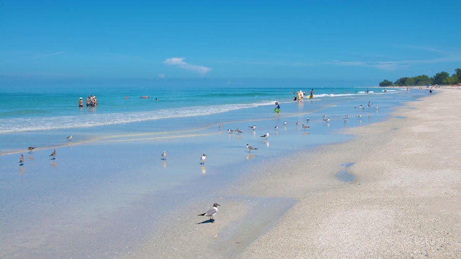 Tropic Isle at Anna Maria Island Inn
