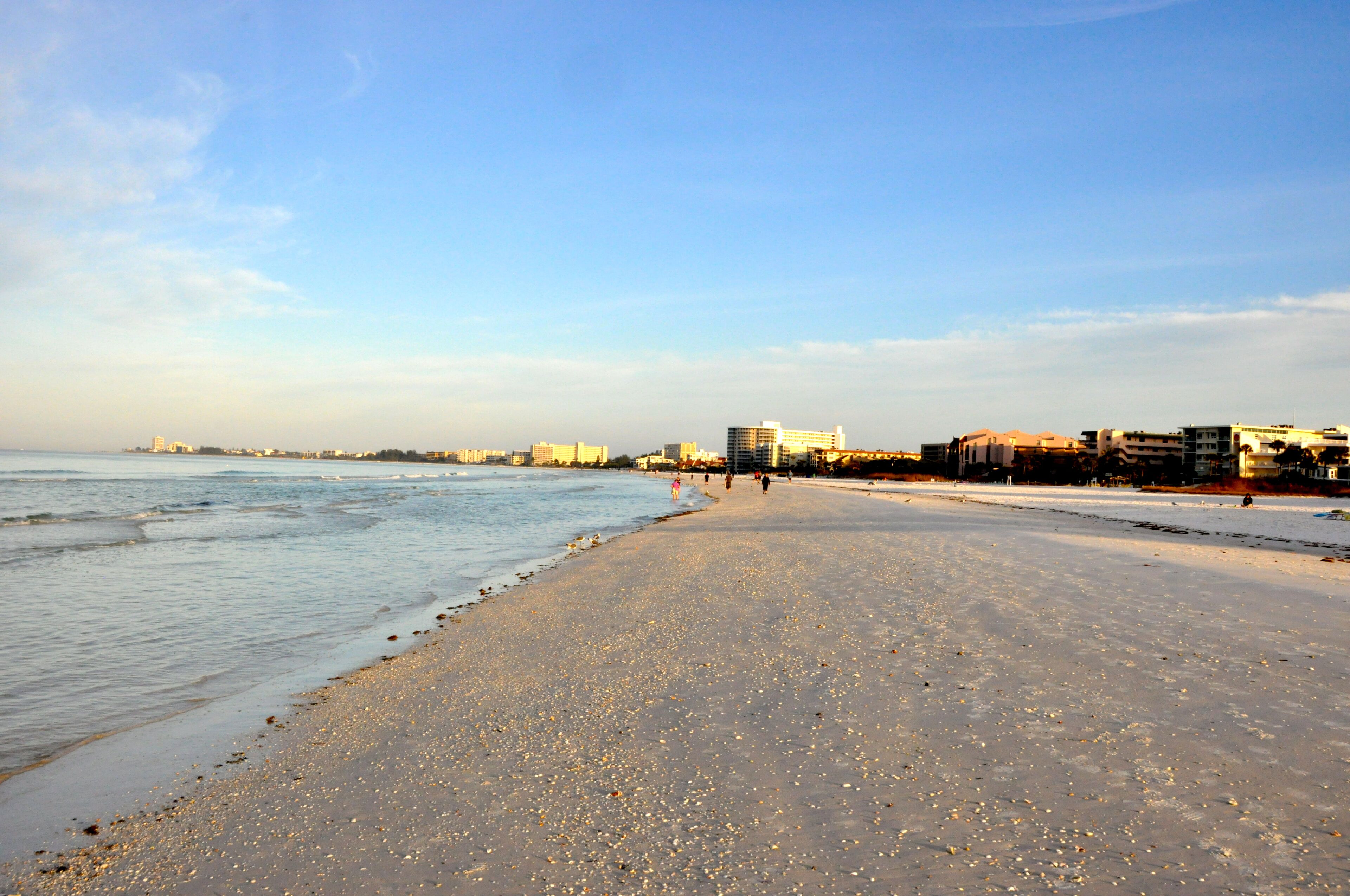Une plage avec un ciel dégagé, une mer calme et des bâtiments en arrière-plan.