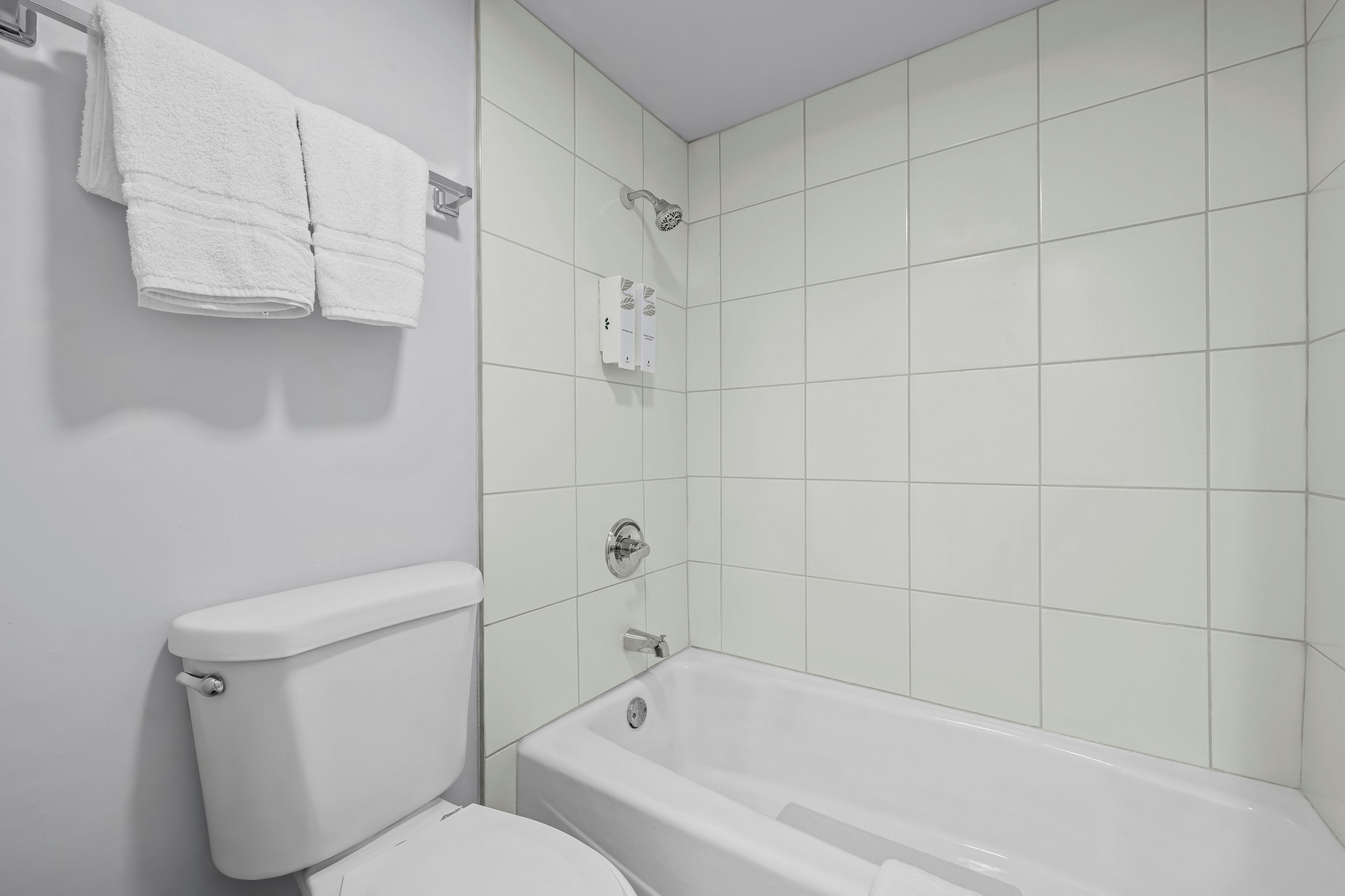 A bathroom with a toilet, a bathtub, and a shower.