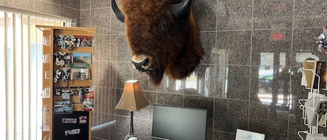 A reception desk with a mounted bison head, a computer, a telephone, and a desk organizer.